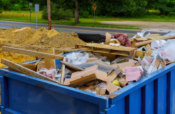 Best Shed Removal  in Zionsville, IN